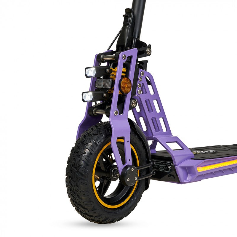 ECOXTREM BISON MORADO